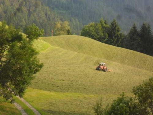 Hostal Hausbergerhof G�stehaus Ainberger