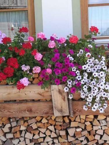 Hostal Hausbergerhof G�stehaus Ainberger