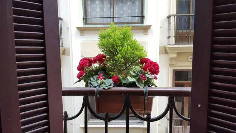 Hostal Pensi�n San Jer�nimo