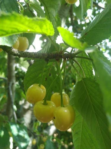 Hostal Ghazaryan Guest House
