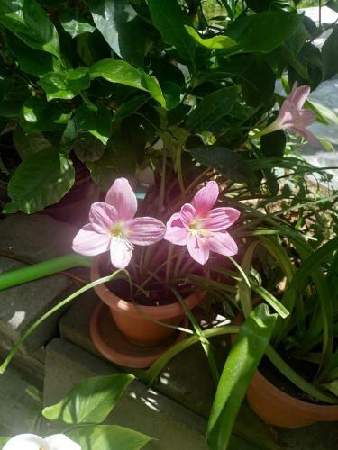 Hostal Ghazaryan Guest House