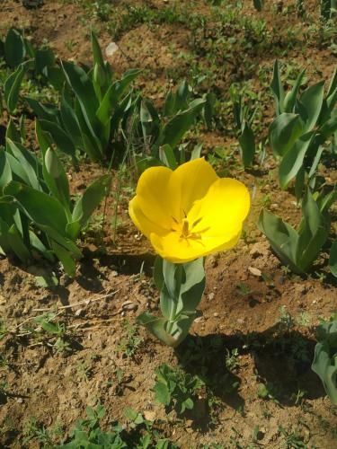 Hostal Ghazaryan Guest House