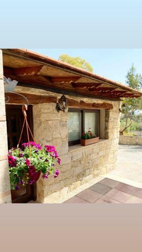 Cosmema House 2 / ???????? ?? ??? ?? ?????