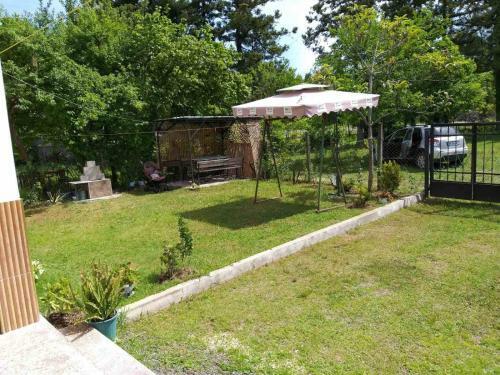 Comfortable Apartment In Chakvi