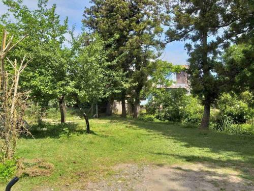 Comfortable Apartment In Chakvi