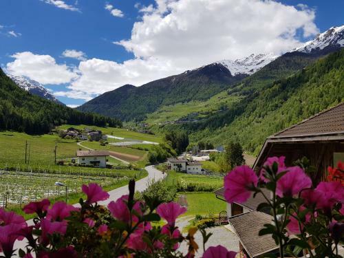 Apartamento Perkmannhof