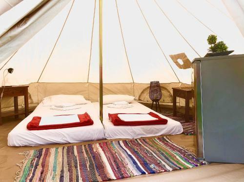 Camping Golden Sunset