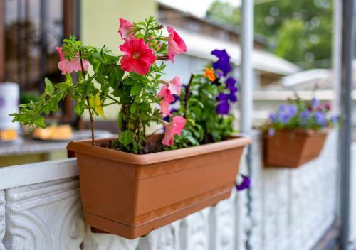 Albergue Tsera House