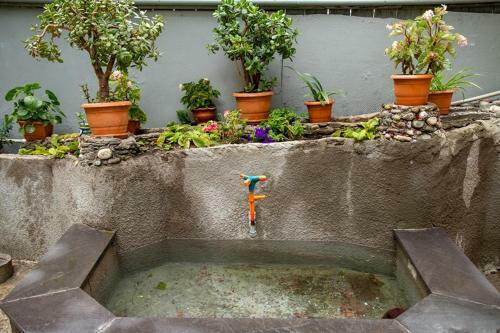 Albergue Tsera House