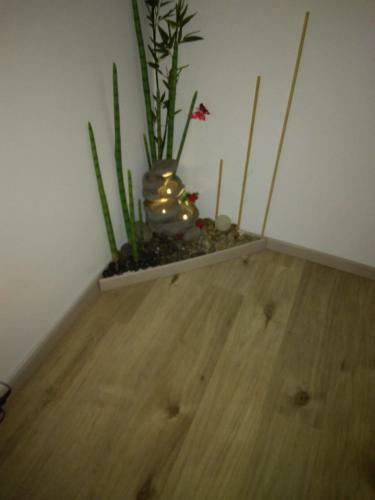 B&B San Benedetto