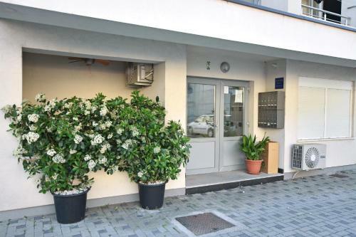 Apartman L