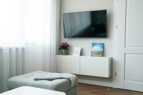 Grey Green Cozy Apartment