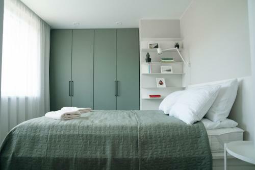 Grey Green Cozy Apartment