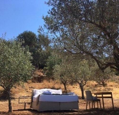 Villa Andros Eco Lodge