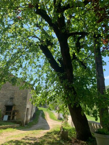 Bed & Breakfast Les Chambres De La P?tite Vall�e