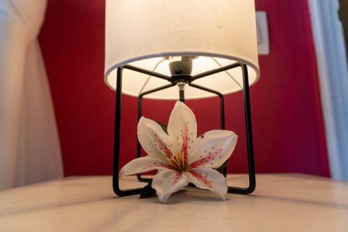 Apartamento Elisabeth House
