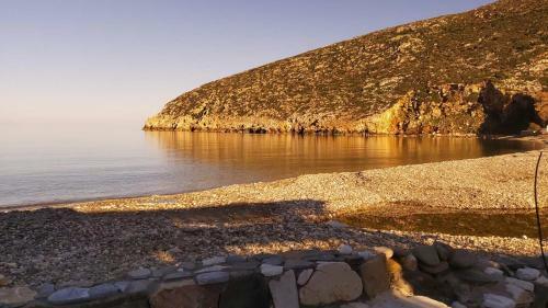 Apollon East