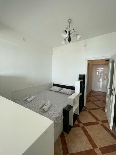 Studio Apartments Luna Azzurra