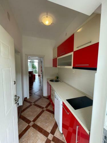 Studio Apartments Luna Azzurra