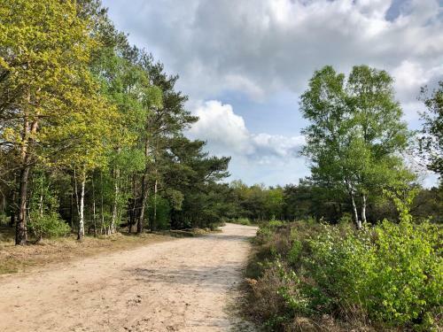 Bed & Breakfast Kloosterveen 123