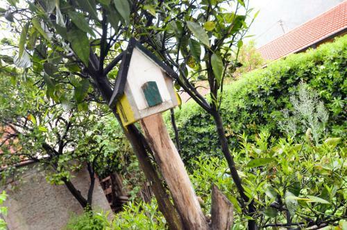 Apartment Buki