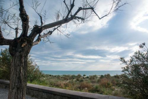 Apartamento Verde Oleandro & Blu Mare