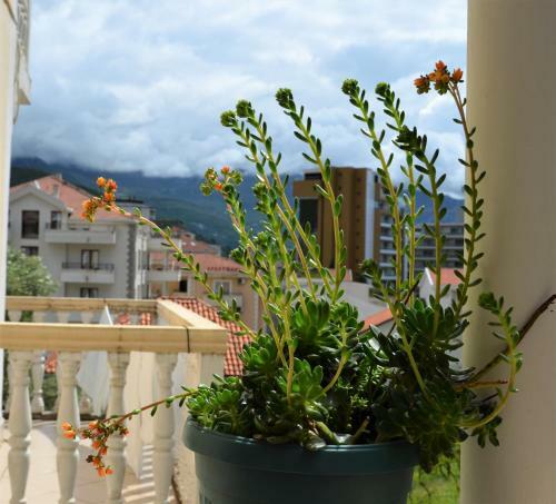 Apartamento Villa Vuja?i?