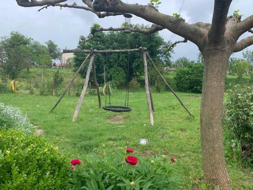 Bed & Breakfast Sobe In Vinska Klet Bregovi