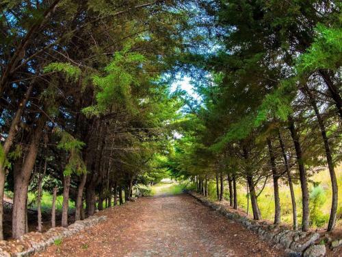 Premium Holiay Home In Alpedrinha With Private Terrace