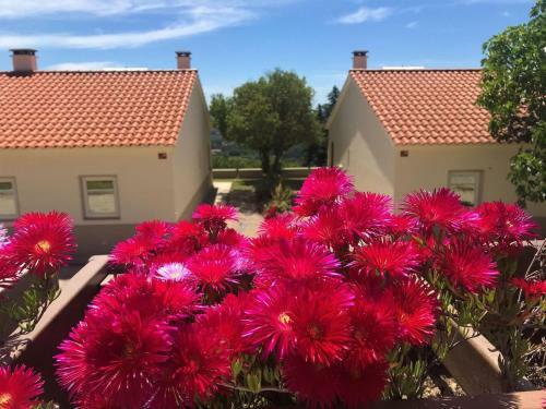 Premium Holiay Home In Alpedrinha With Private Terrace