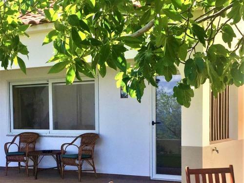 Premium Holiay Home In Alpedrinha With Private Terrace