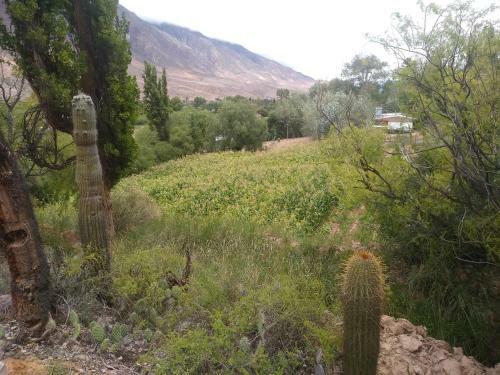 Agroturismo Rancho Grande