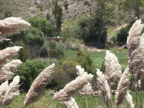 Agroturismo Rancho Grande