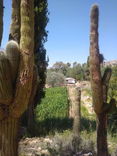 Agroturismo Rancho Grande