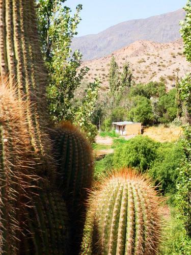Agroturismo Rancho Grande
