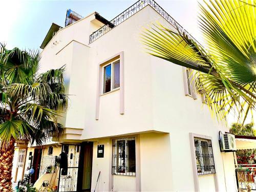 Villa Nova