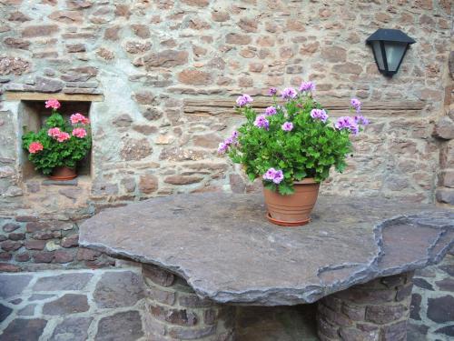 Apartamento Turisme Rural Lo Pall� De Cal Bosch