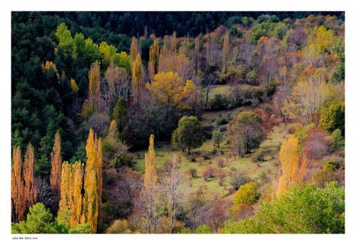 Apartamento Turisme Rural Lo Pall� De Cal Bosch