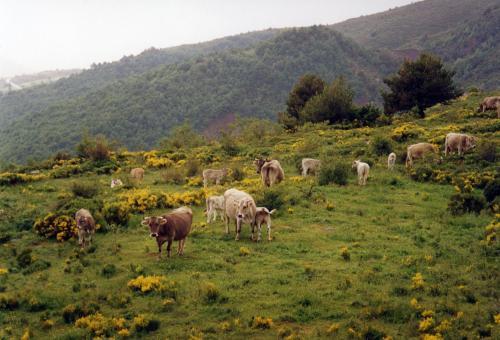 Apartamento Turisme Rural Lo Pall� De Cal Bosch