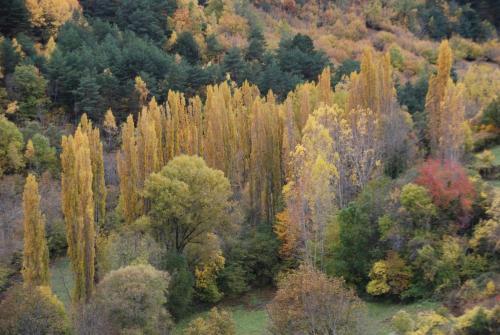 Apartamento Turisme Rural Lo Pall� De Cal Bosch