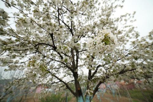 Hostal Guest House Persikovbyi Rai
