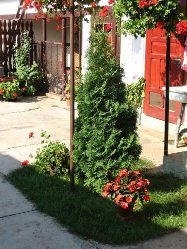 Hostal Guest House Persikovbyi Rai