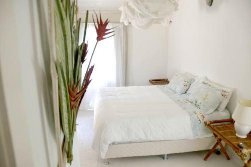 Casa Exclusiva E Sofisticada Em B�zios / Gerib�