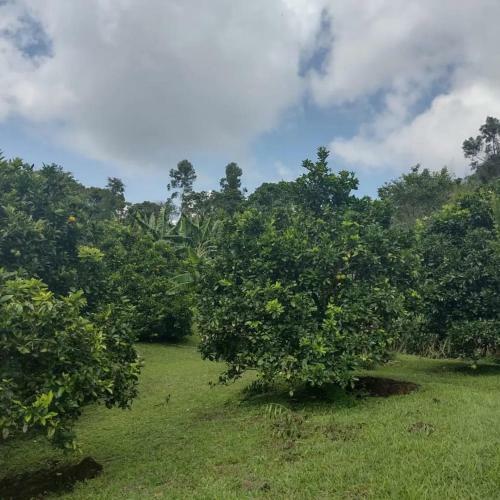 Finca Villa Rosa