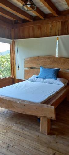 Gilu Caba�as Del Bosque