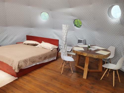 Bitzu Dome, Bijagua Glamping
