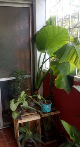 Apartamento Posada Del Cerro