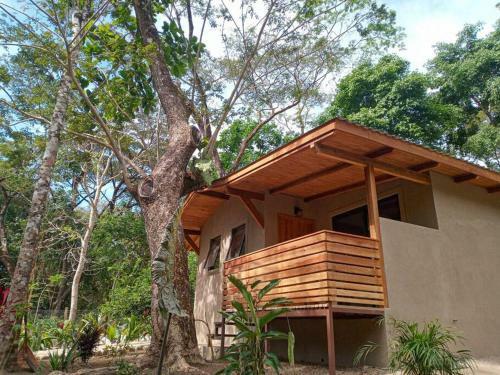 Jungle Lodge- Casa Caracoles-feeling Trees