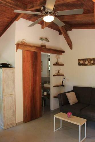 Jungle Lodge- Casa Caracoles-feeling Trees