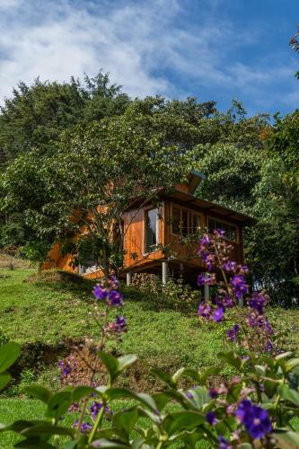 Lodge Refugio El Bosque
